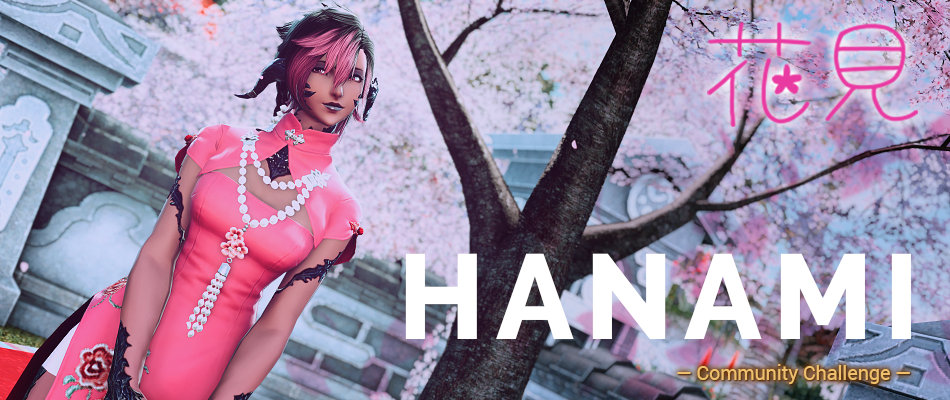 Hanami Community Challenge