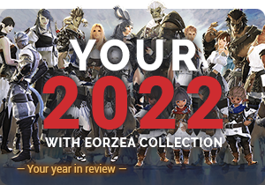 Your 2022 with Eorzea Collection