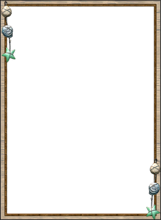 Frame